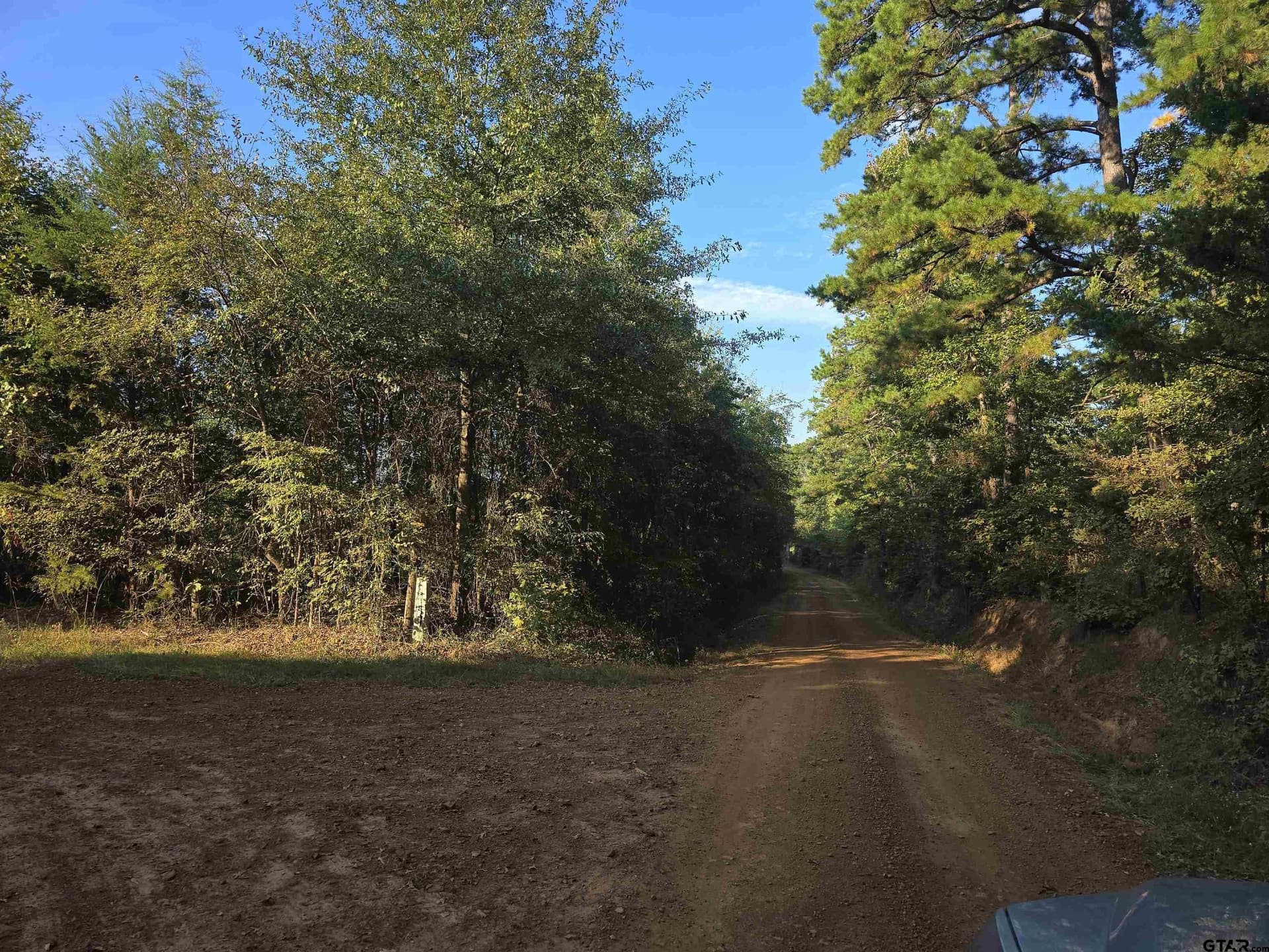 50 acres in Cass County - photo 8