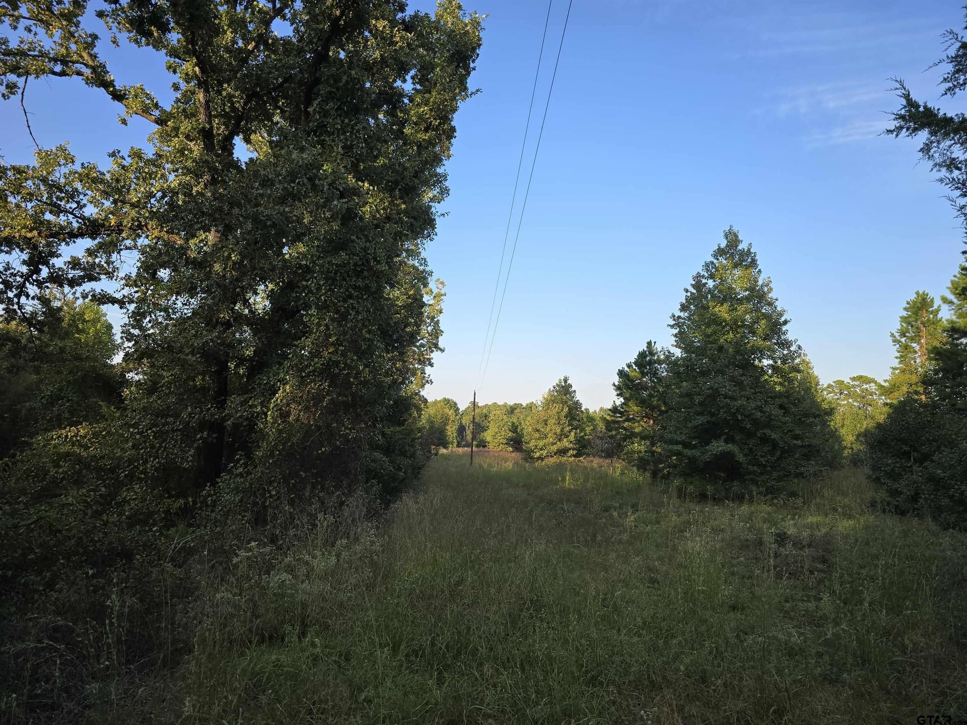 50 acres in Cass County - photo 21