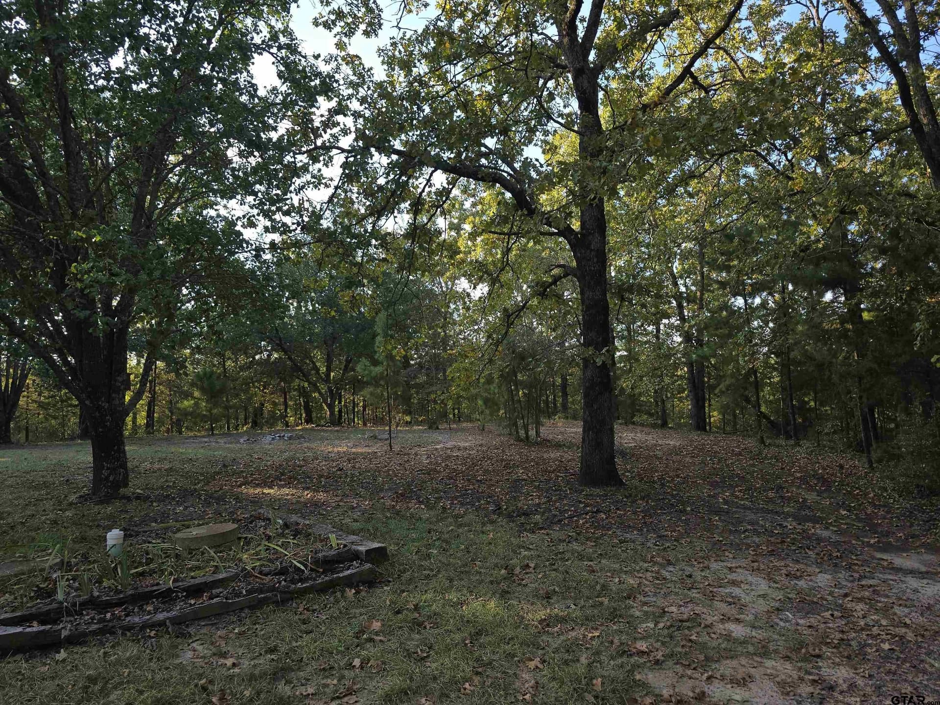 50 acres in Cass County - photo 19