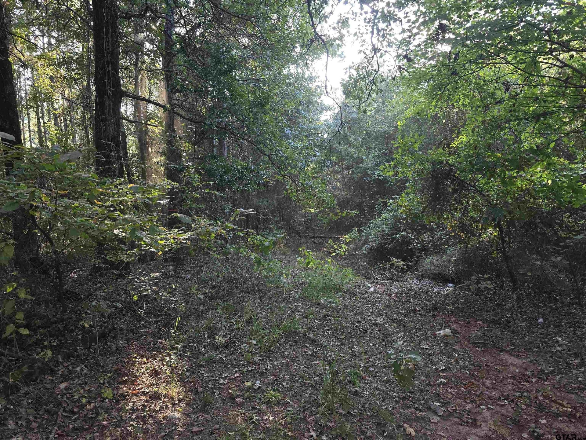 50 acres in Cass County - photo 3