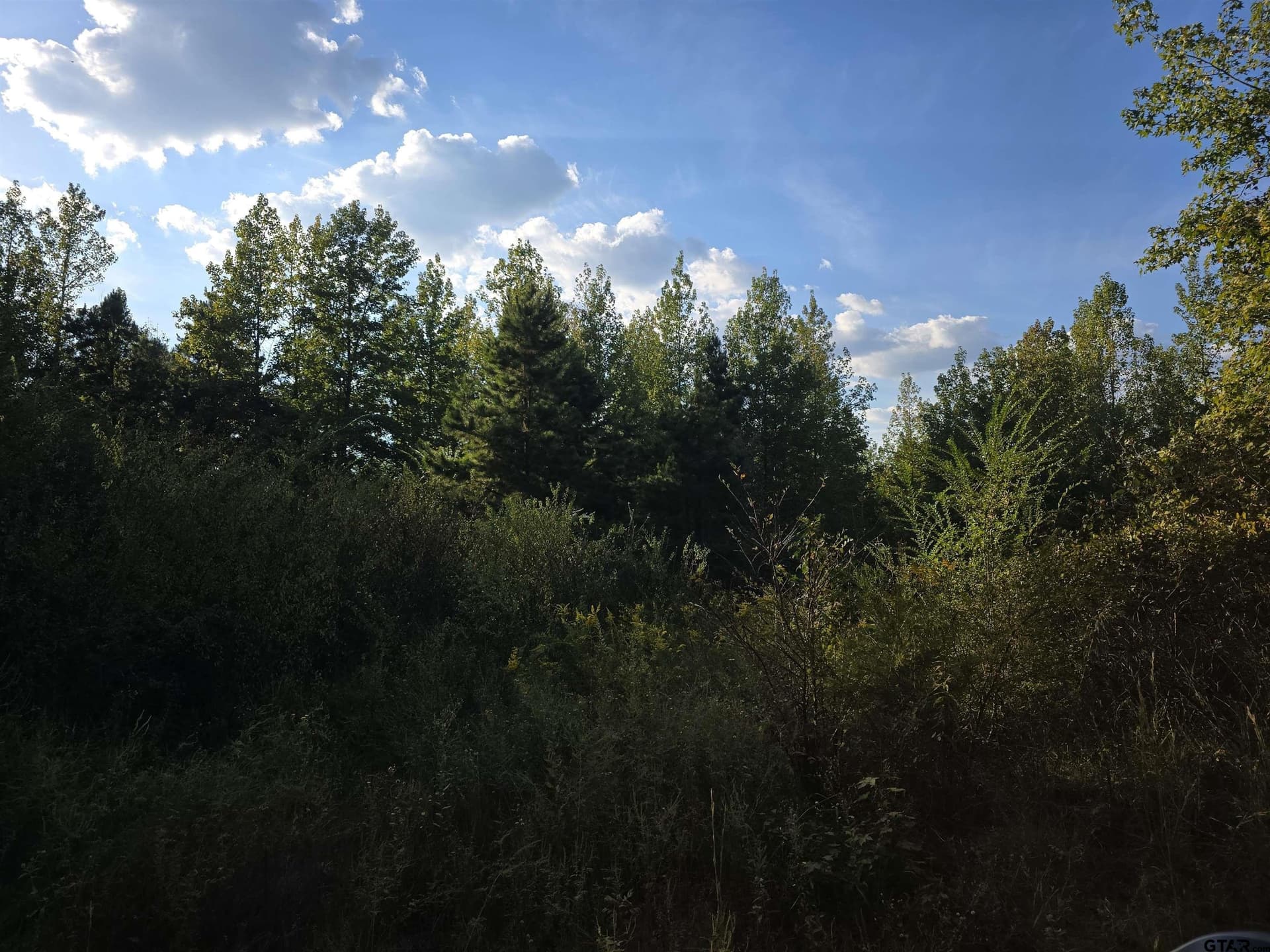 50 acres in Cass County - photo 6