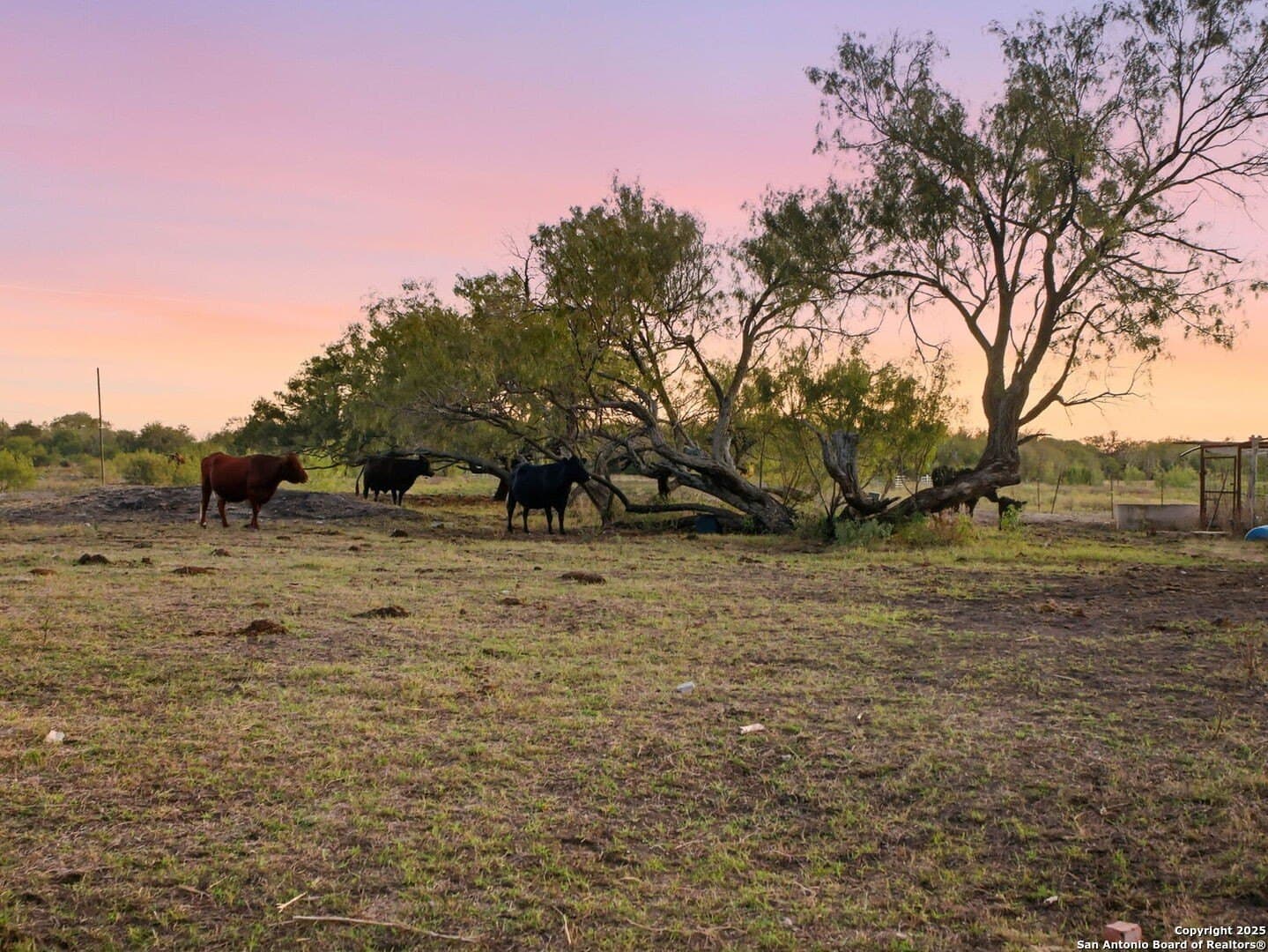 92.22 acres in Bexar County - photo 12
