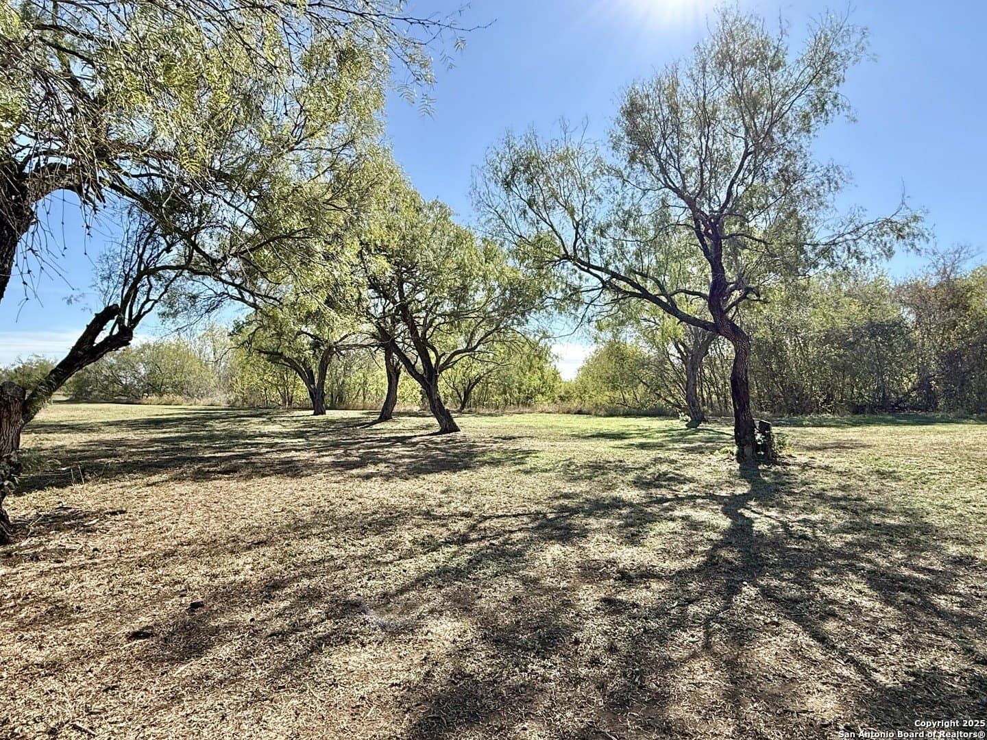 4.88 acres in Atascosa County - photo 6