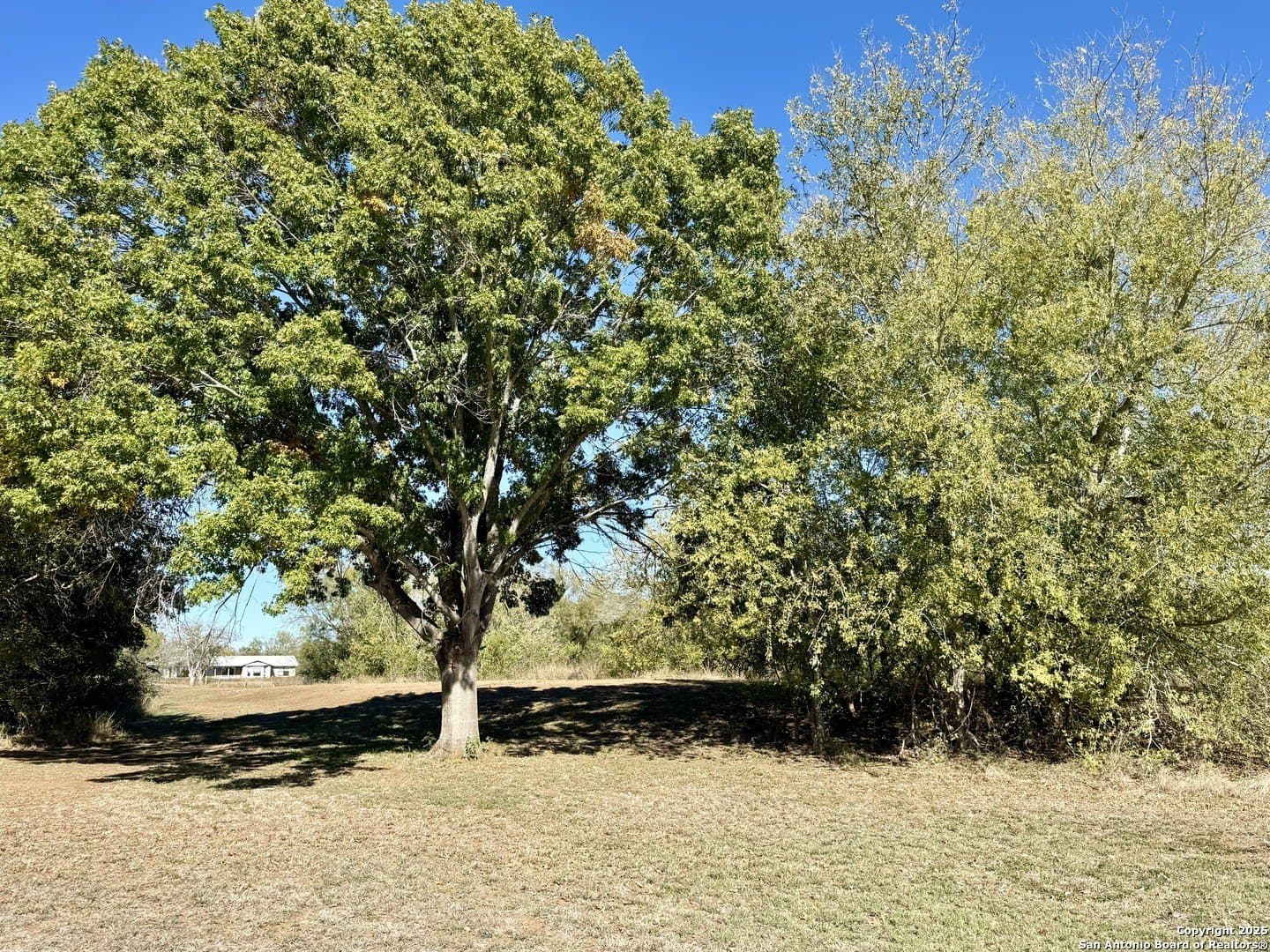 4.88 acres in Atascosa County - photo 13