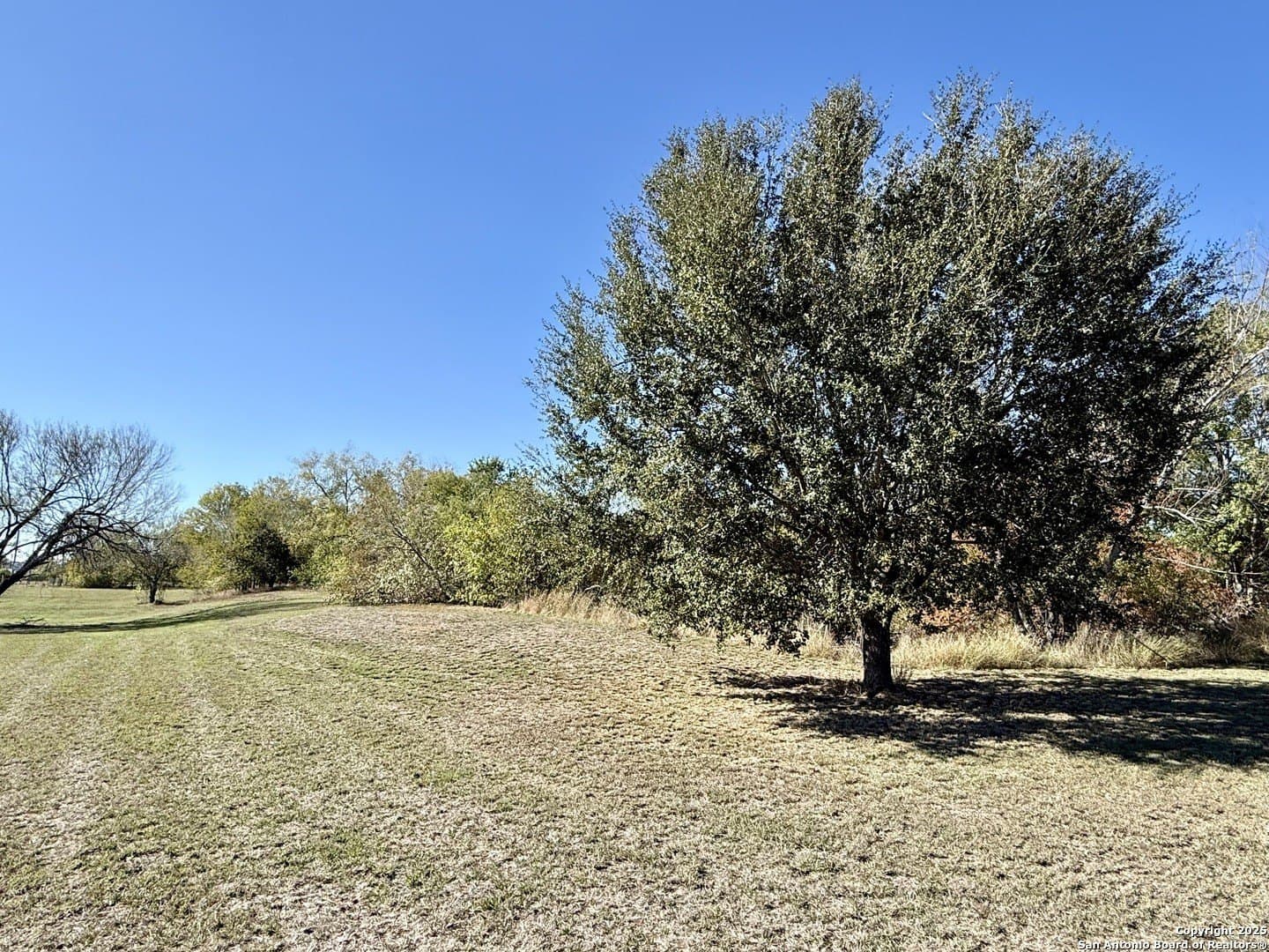 4.88 acres in Atascosa County - photo 17
