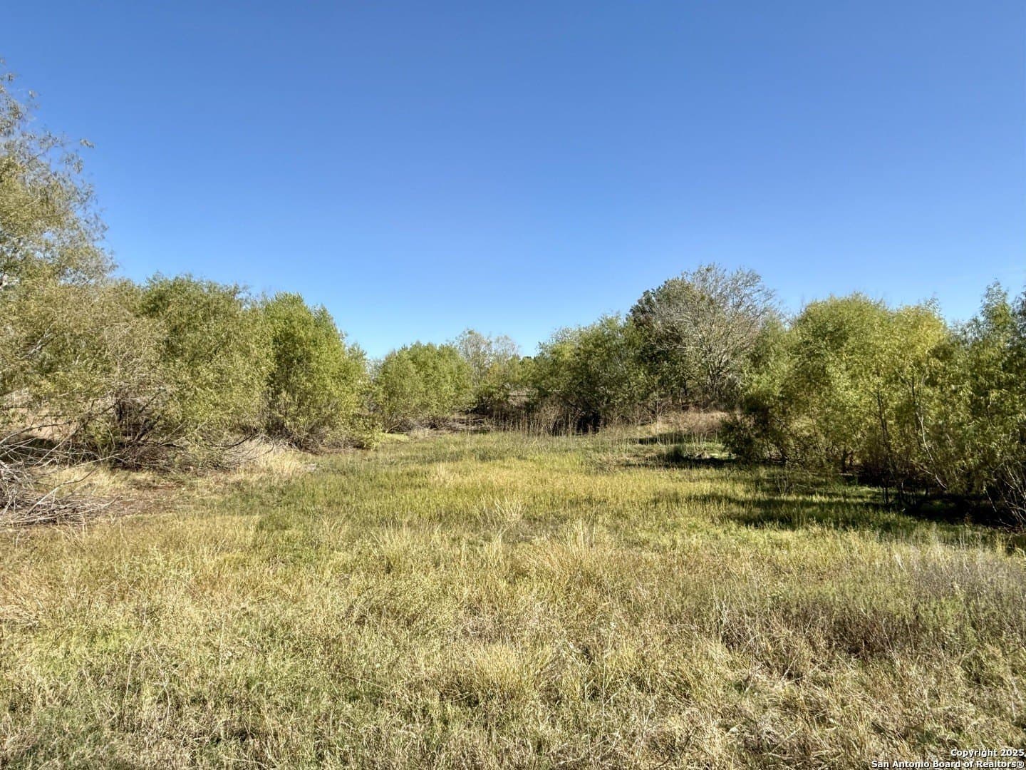 4.88 acres in Atascosa County - photo 9