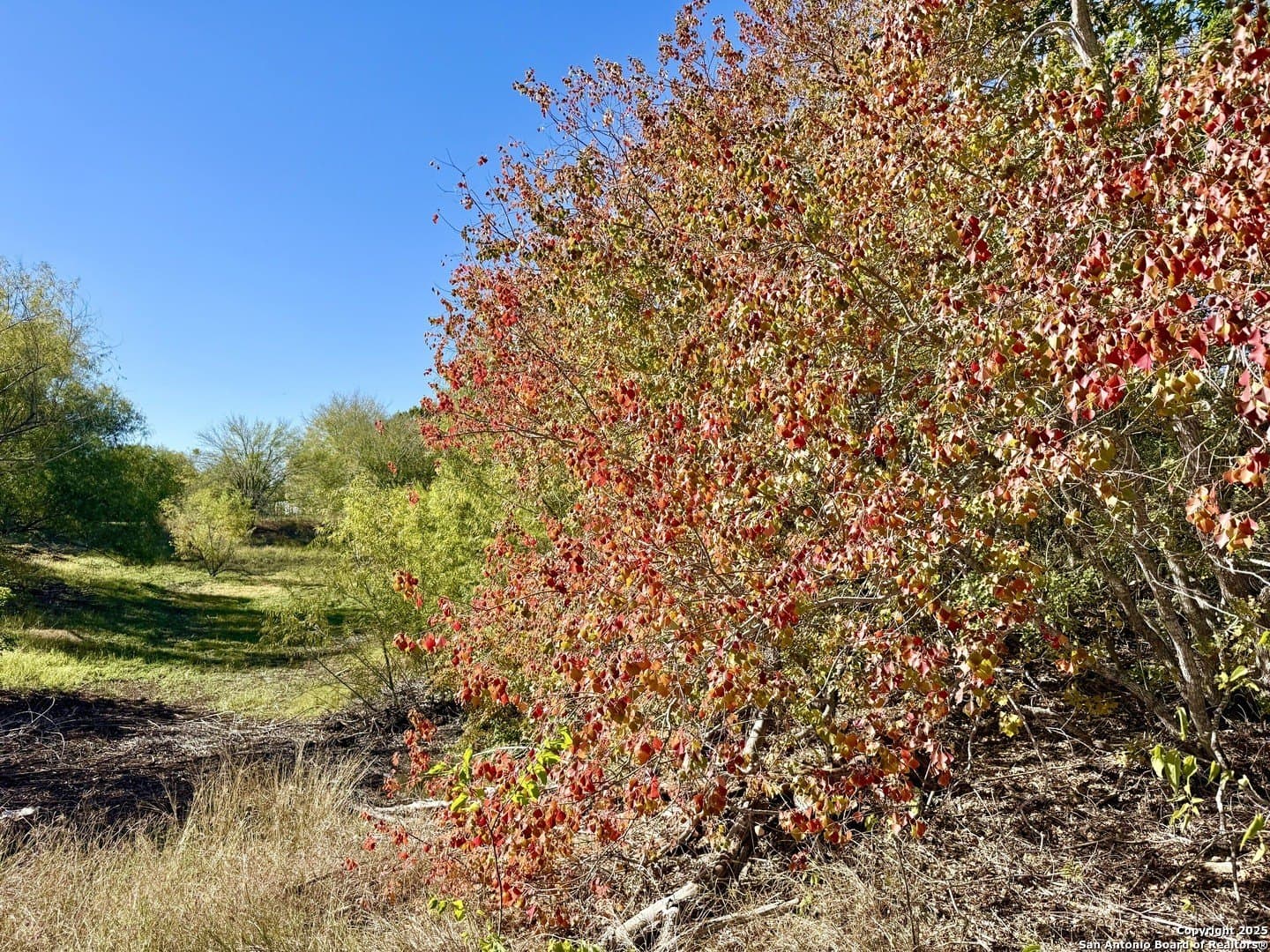 4.88 acres in Atascosa County - photo 19