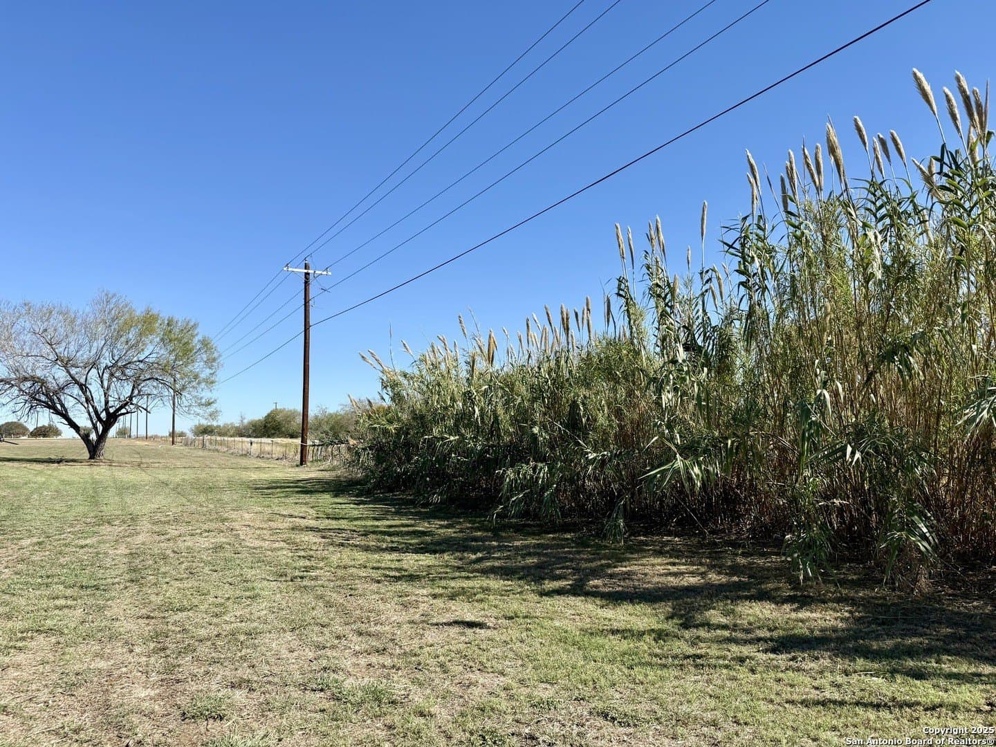 4.88 acres in Atascosa County - photo 15