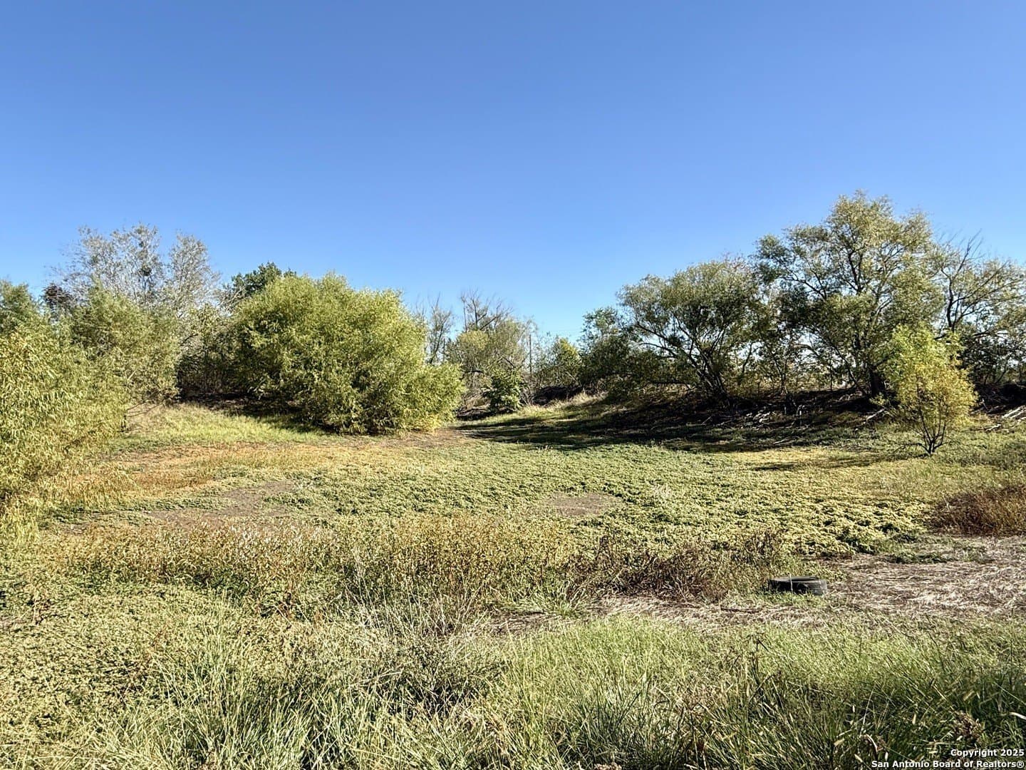 4.88 acres in Atascosa County - photo 10