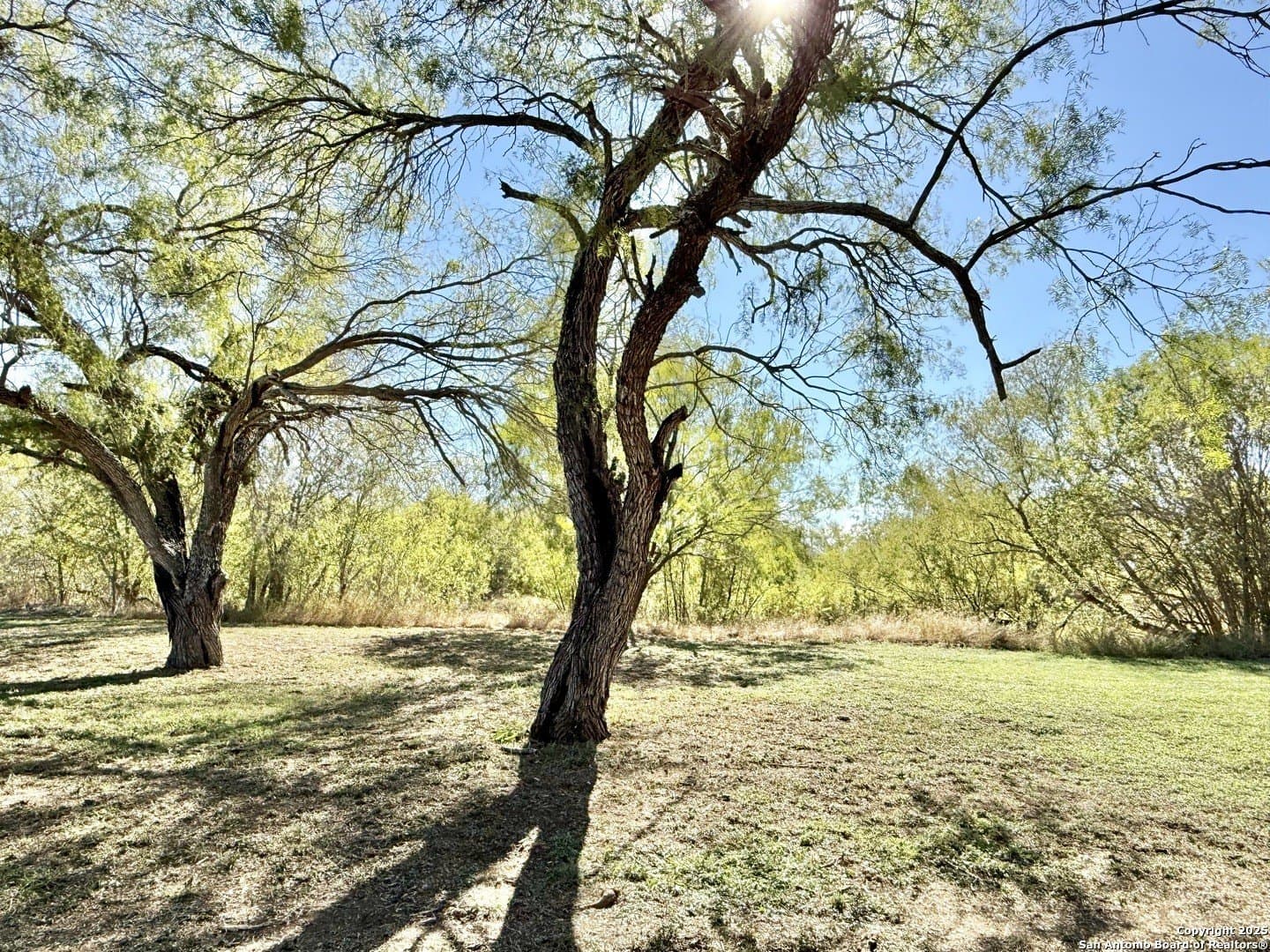 4.88 acres in Atascosa County - photo 8
