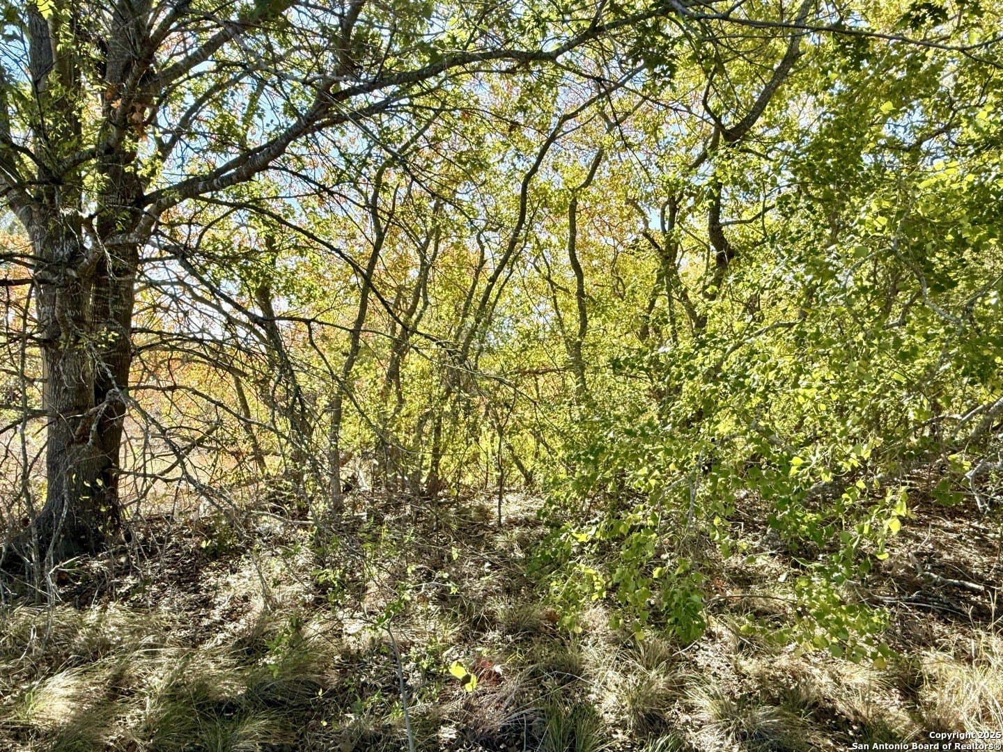 4.88 acres in Atascosa County - photo 22