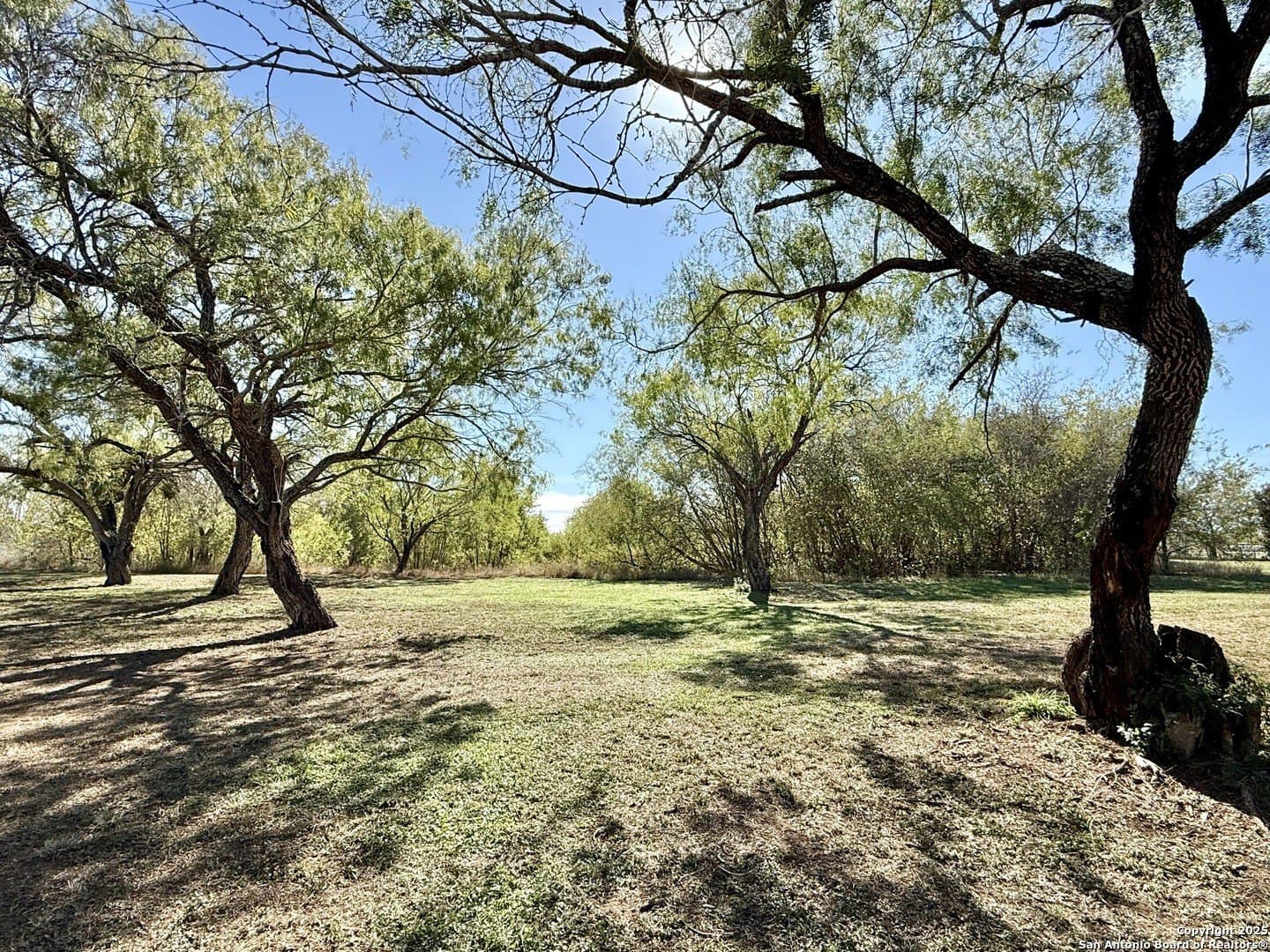 4.88 acres in Atascosa County - photo 7