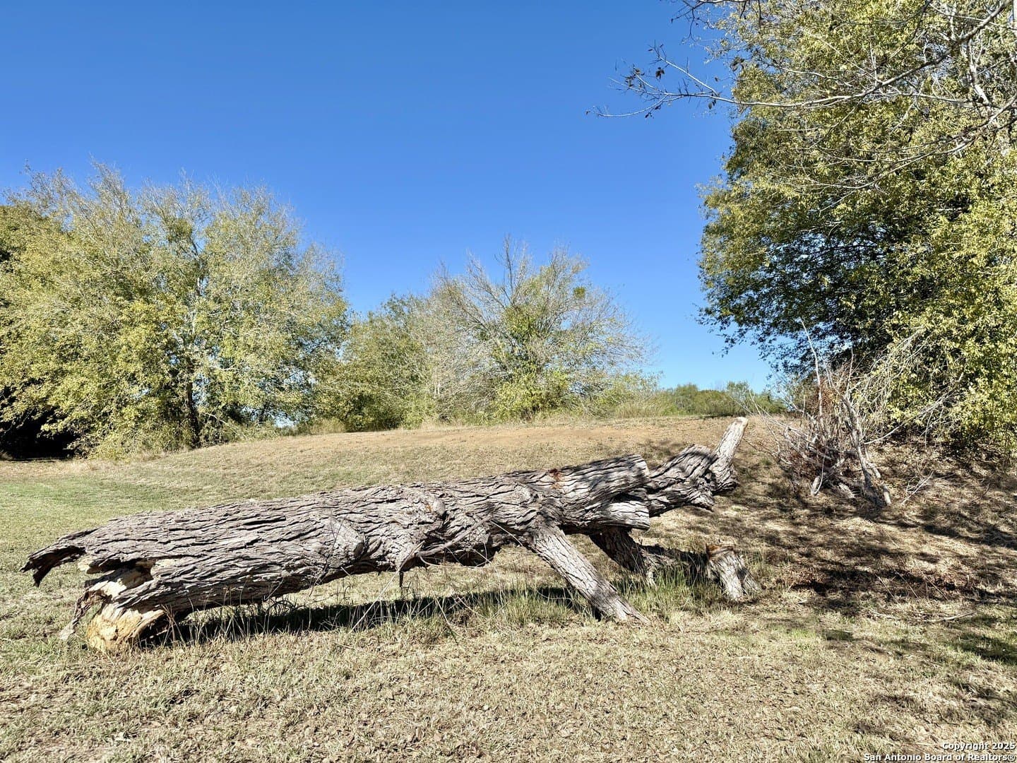 4.88 acres in Atascosa County - photo 14