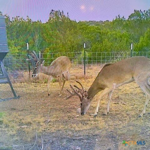 157.91 acres in Val Verde County - photo 3