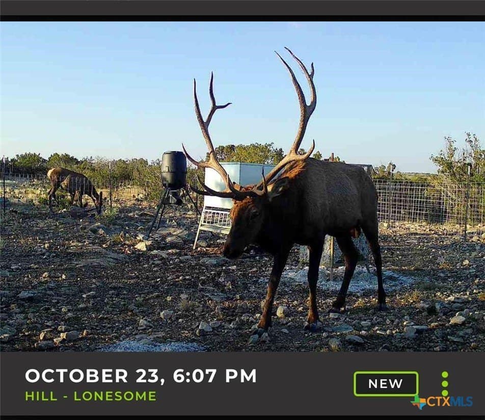 157.91 acres in Val Verde County - photo 11