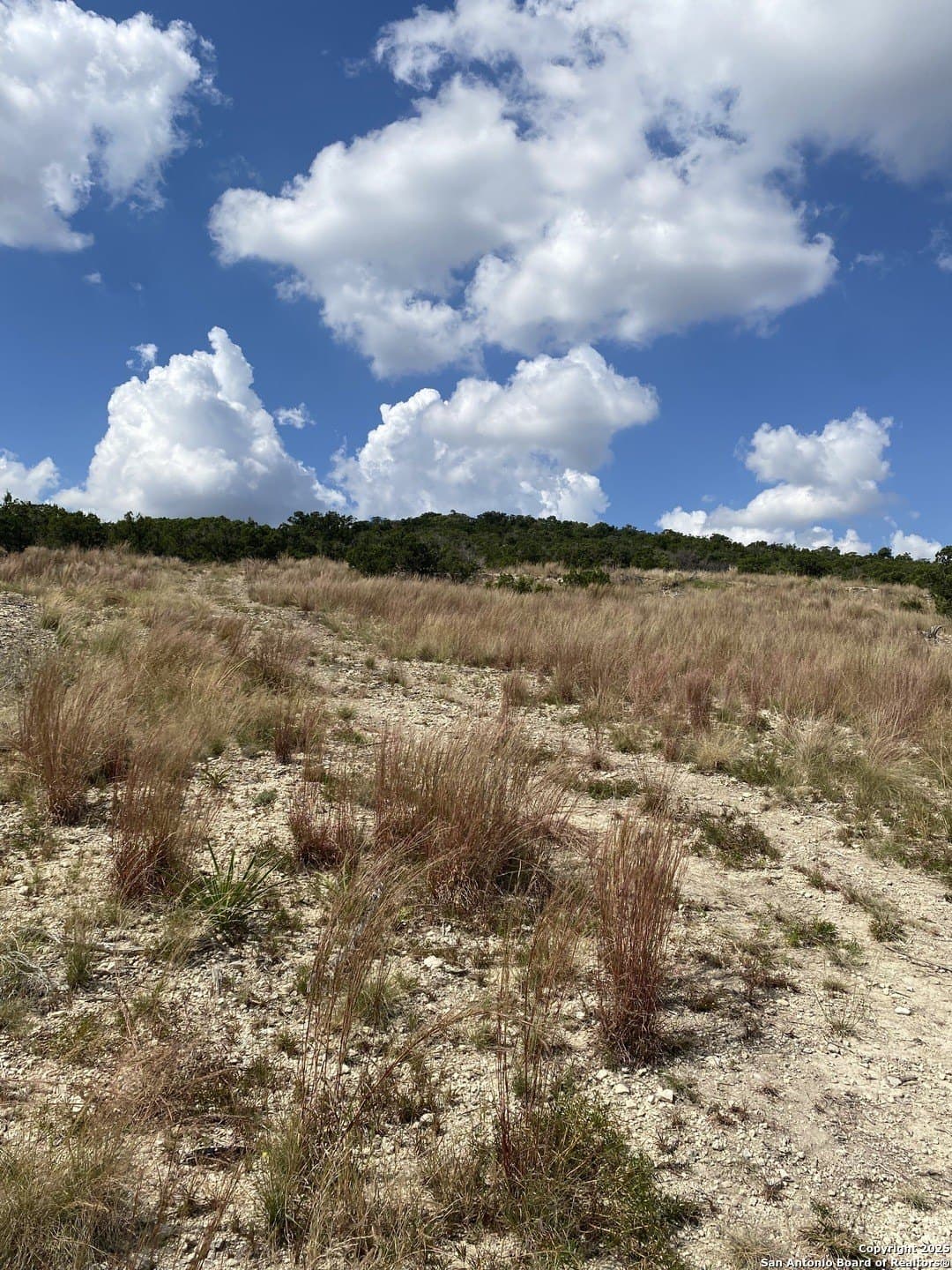 13.28 acres in Kendall County - photo 2