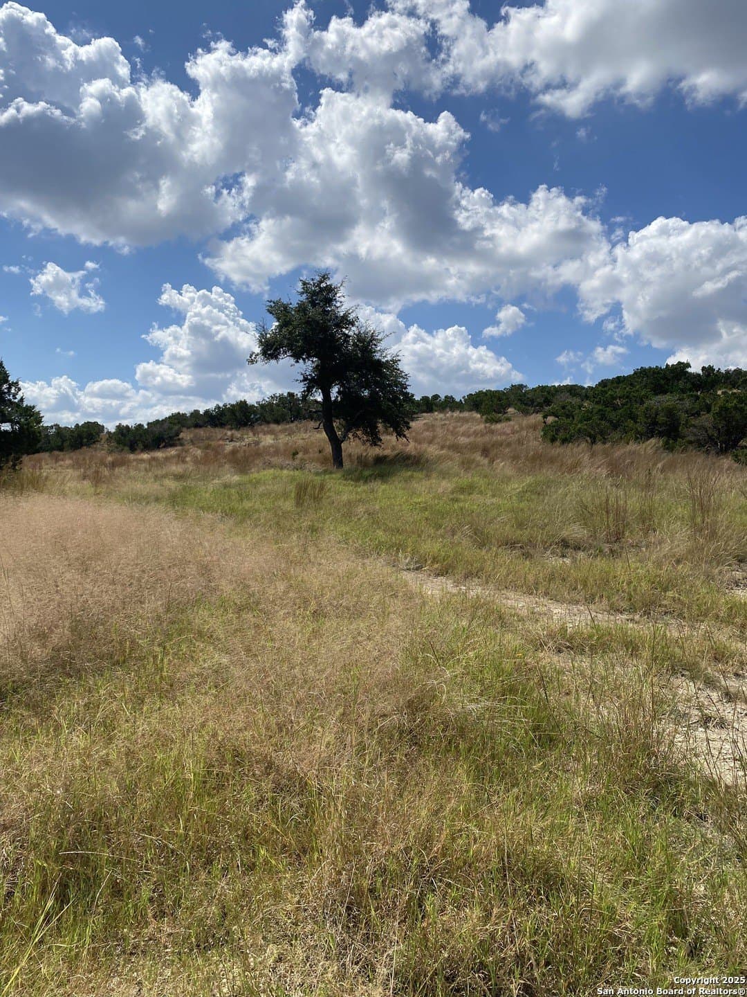 13.28 acres in Kendall County - photo 3