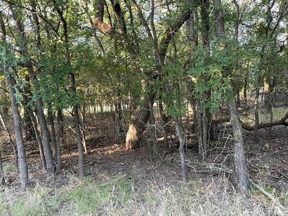 0.26 acres in Brown County - photo 9