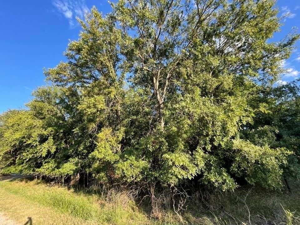 0.26 acres in Brown County - photo 5