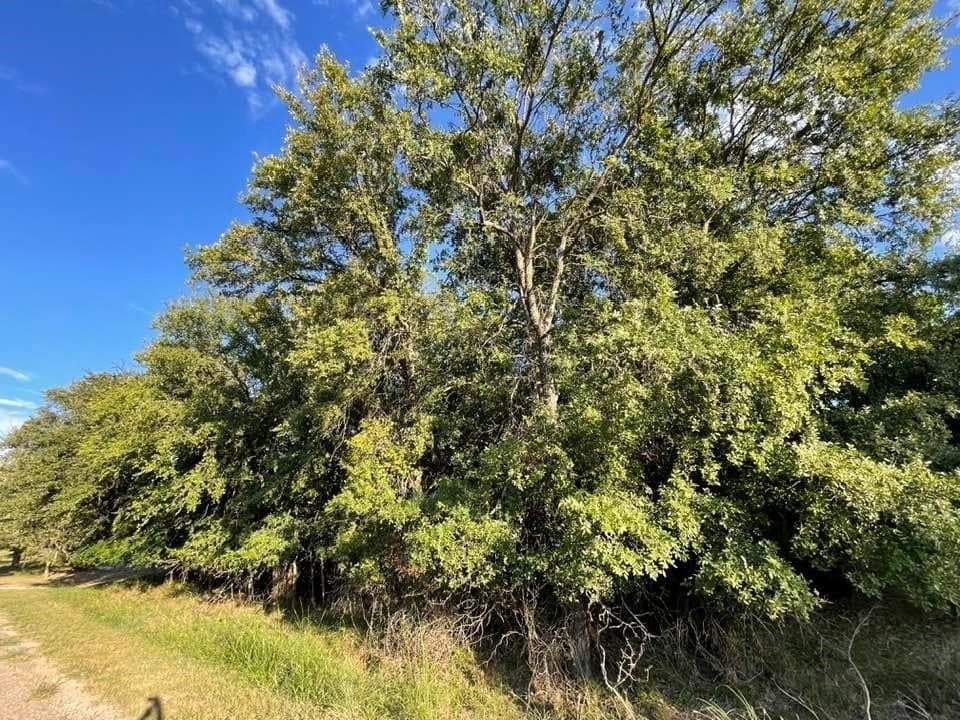 0.26 acres in Brown County - photo 3