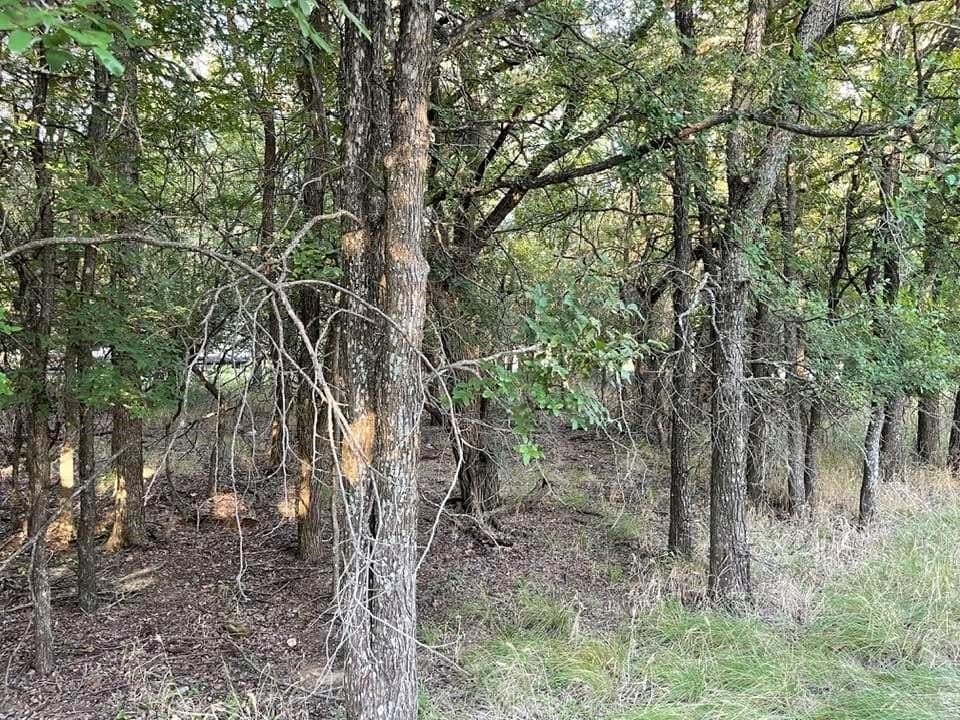 0.26 acres in Brown County - photo 2