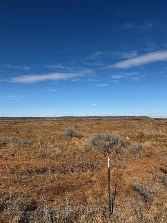 25 acres in Taylor County - photo 3