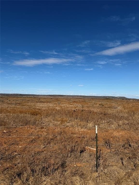 25 acres in Taylor County - photo 4