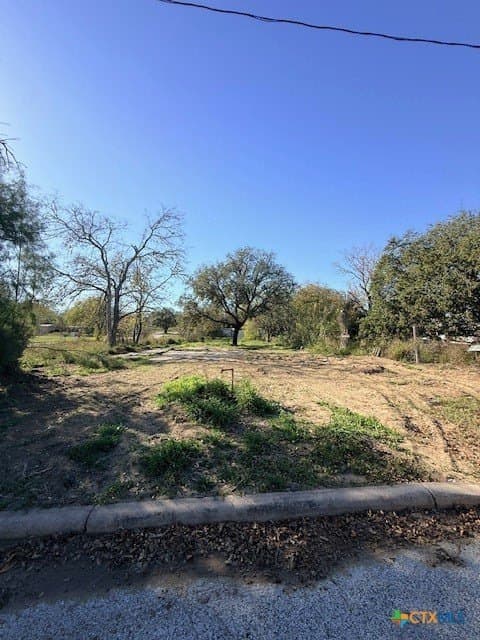 0.17 acres in Atascosa County - photo 2