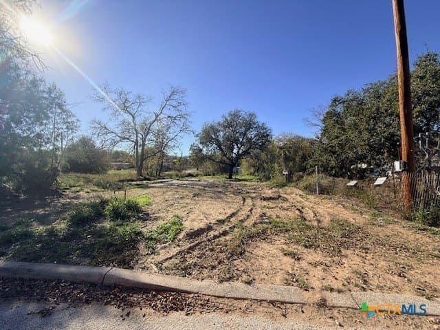 0.17 acres in Atascosa County - photo 3