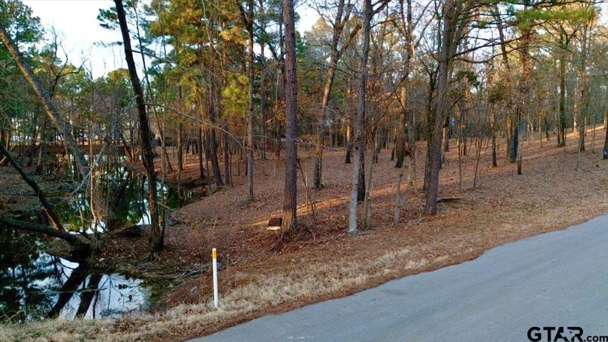 1.49 acres in Smith County - photo 5