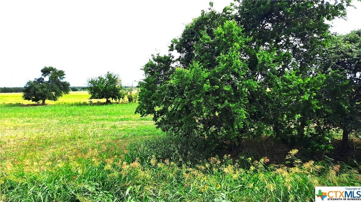 12.56 acres in Texas County - photo 2