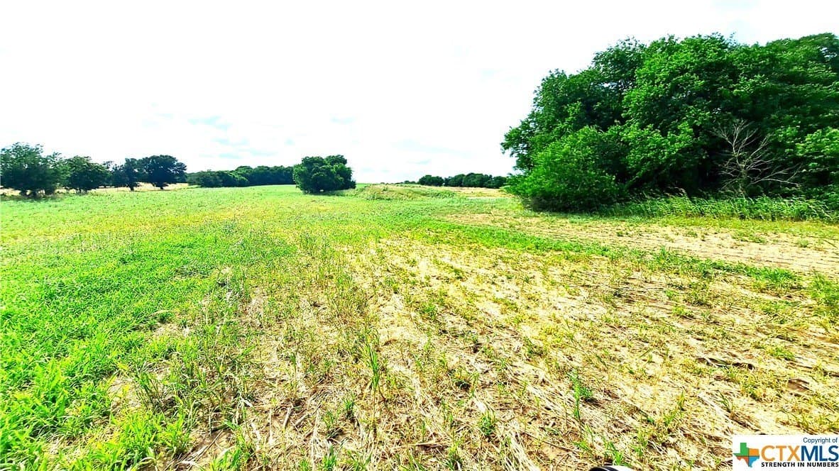 12.56 acres in Texas County - photo 4
