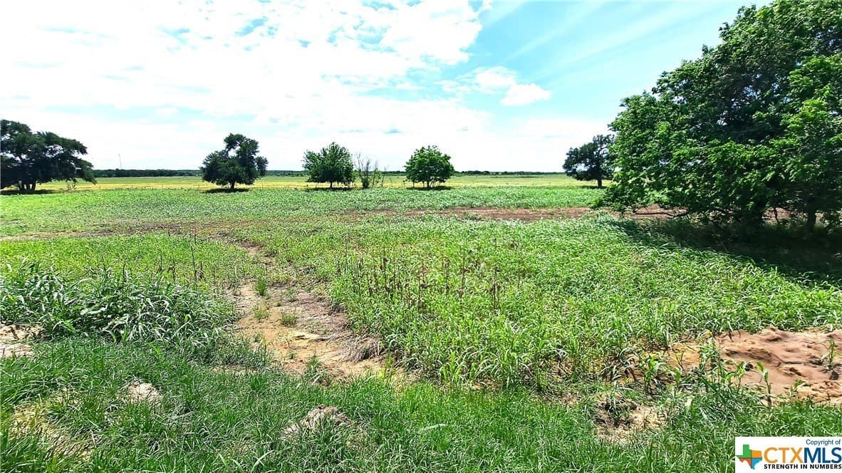 12.56 acres in Texas County - photo 10