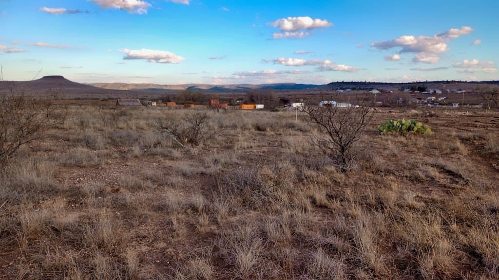 0.31 acres in Jeff Davis County - photo 4