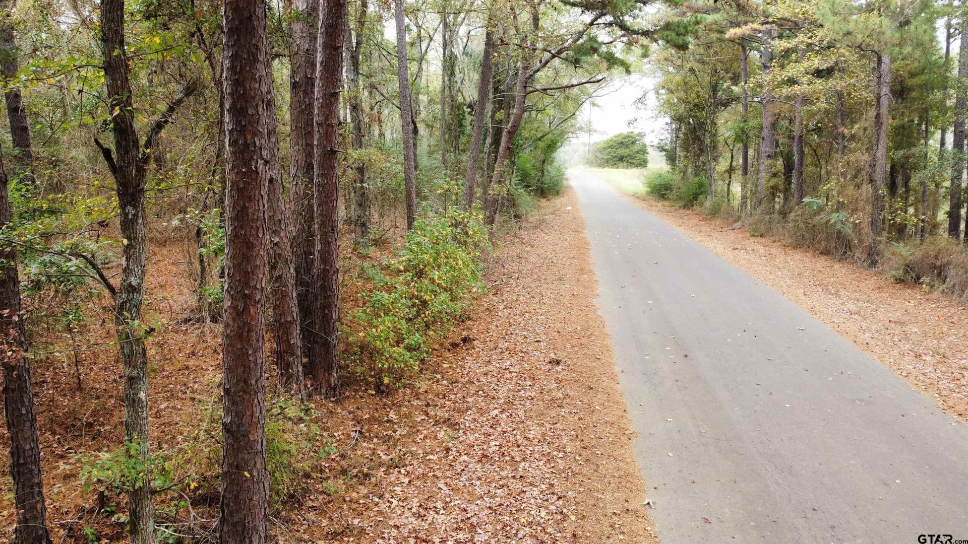 23.68 acres in Smith County - photo 9