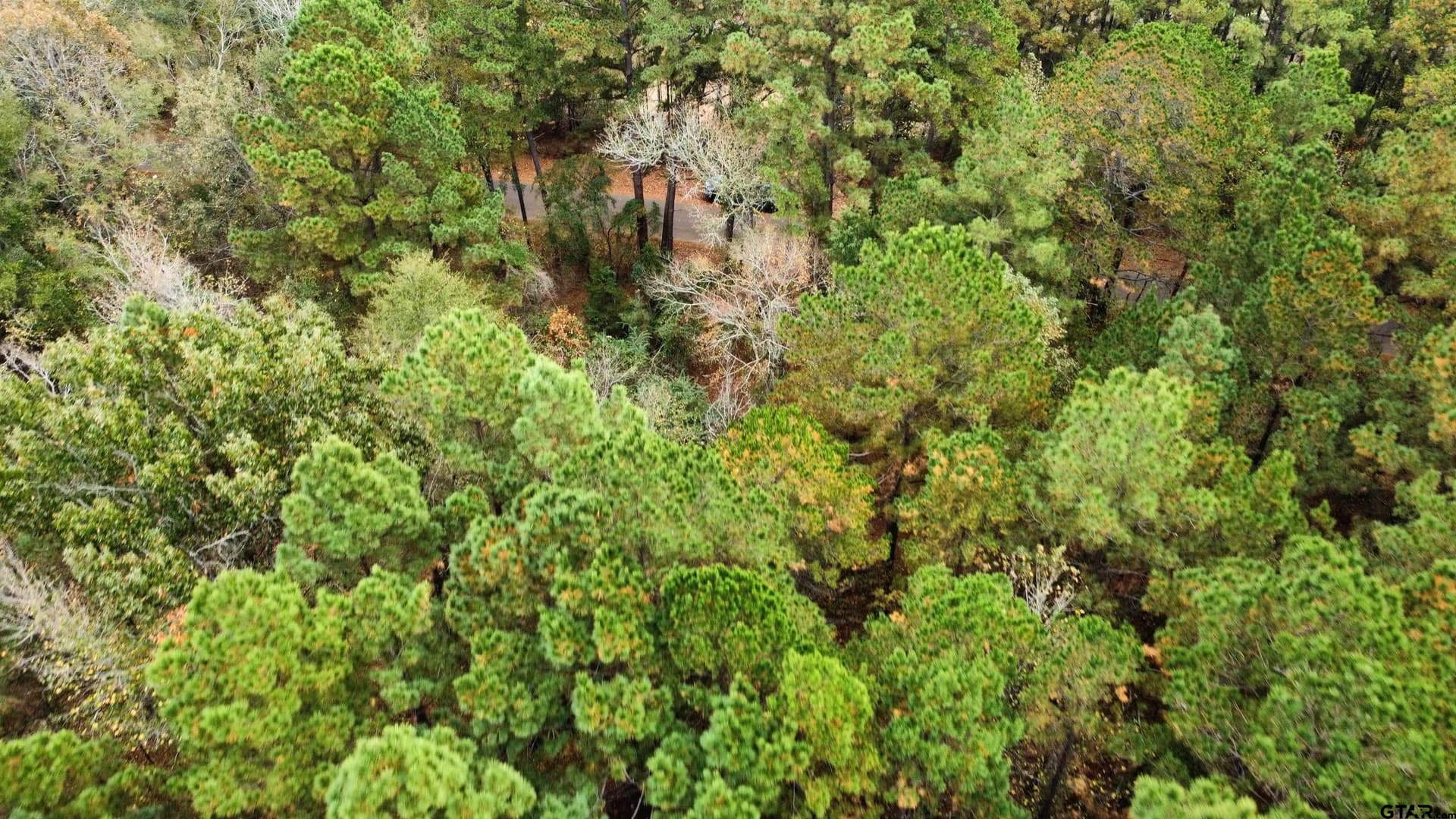23.68 acres in Smith County - photo 6
