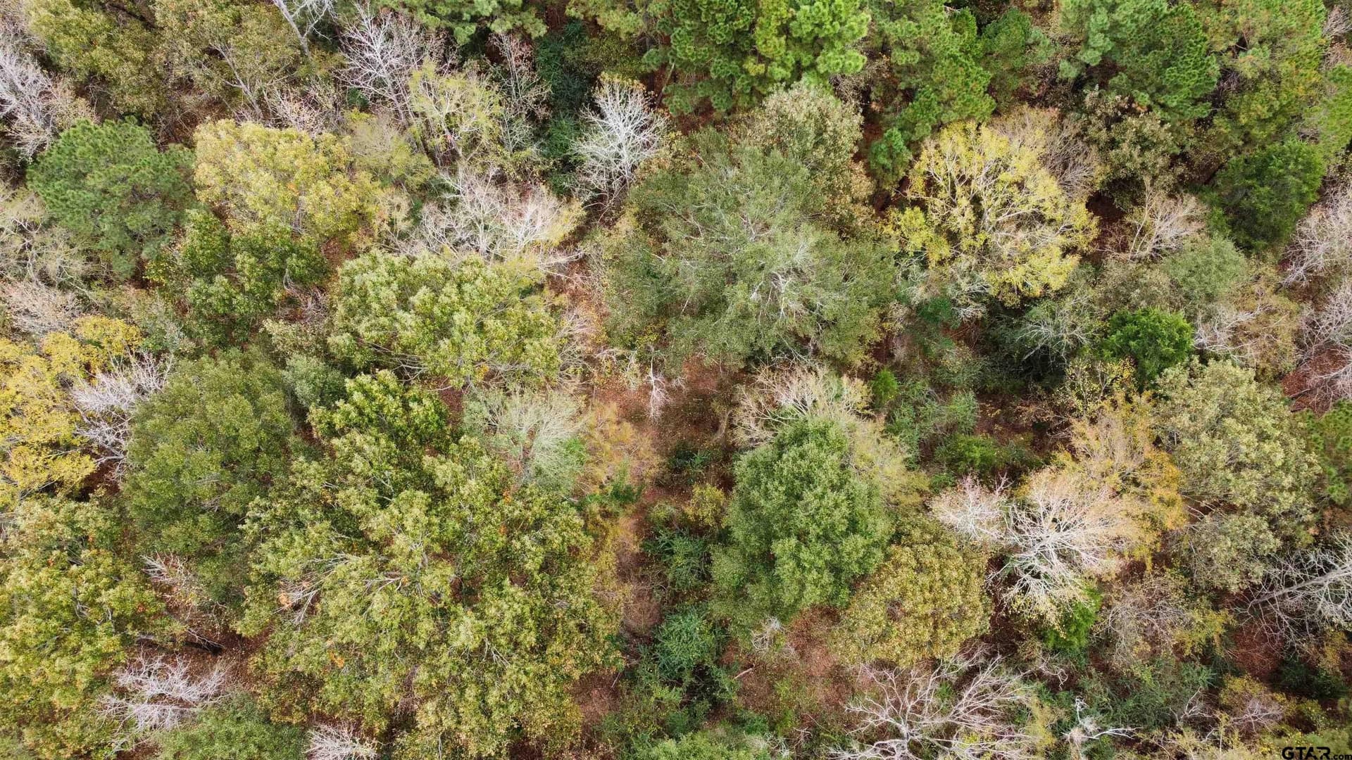 23.68 acres in Smith County - photo 5