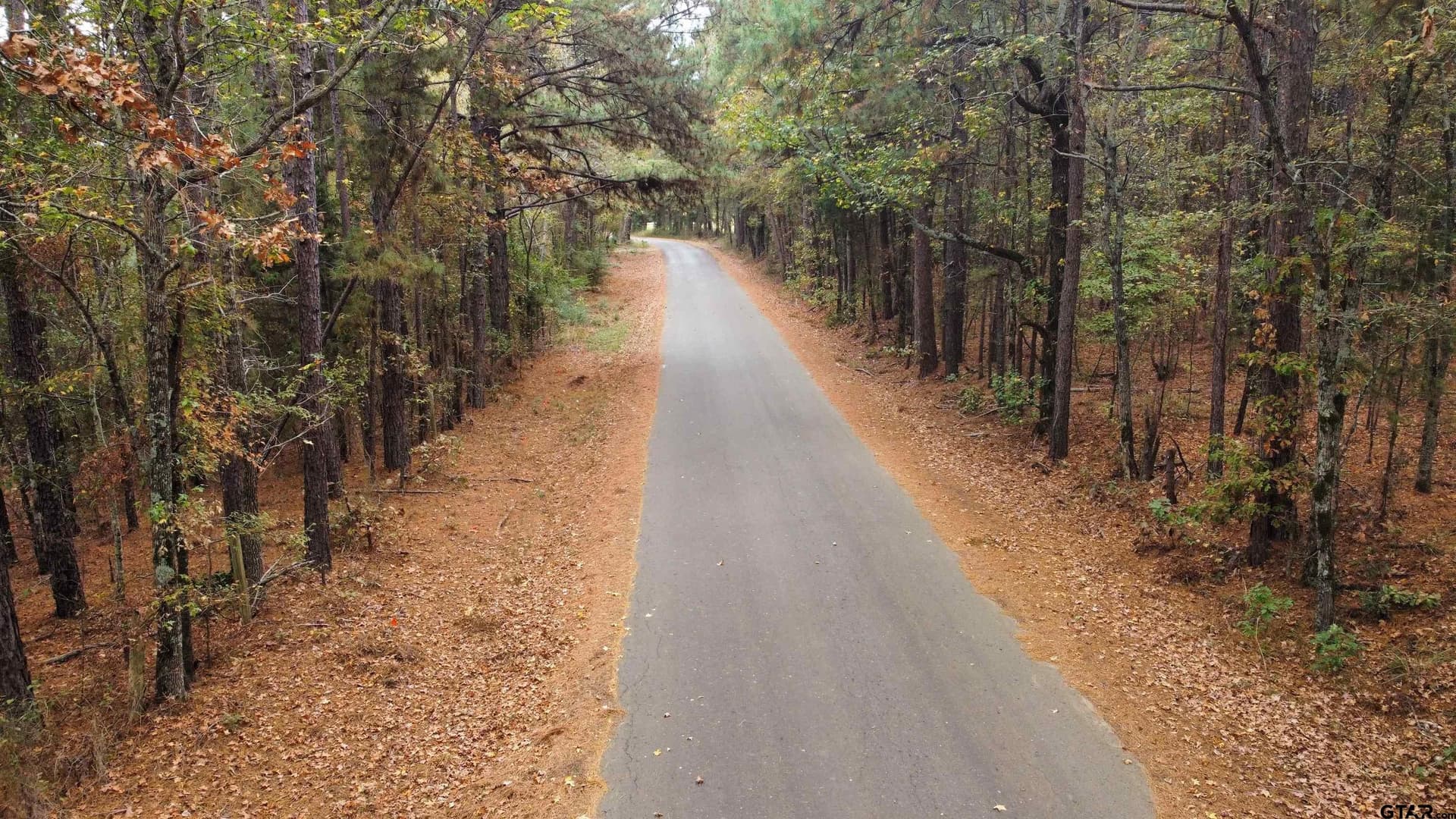 23.68 acres in Smith County - photo 8