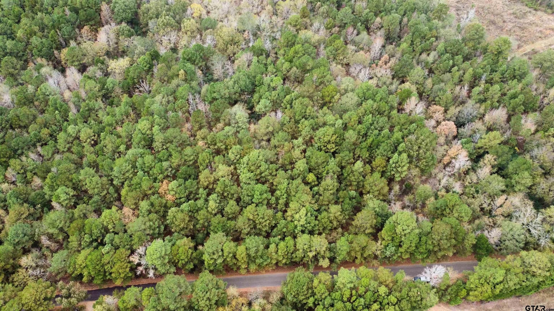 23.68 acres in Smith County - photo 4