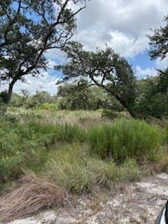 0 acres in Texas County - photo 2
