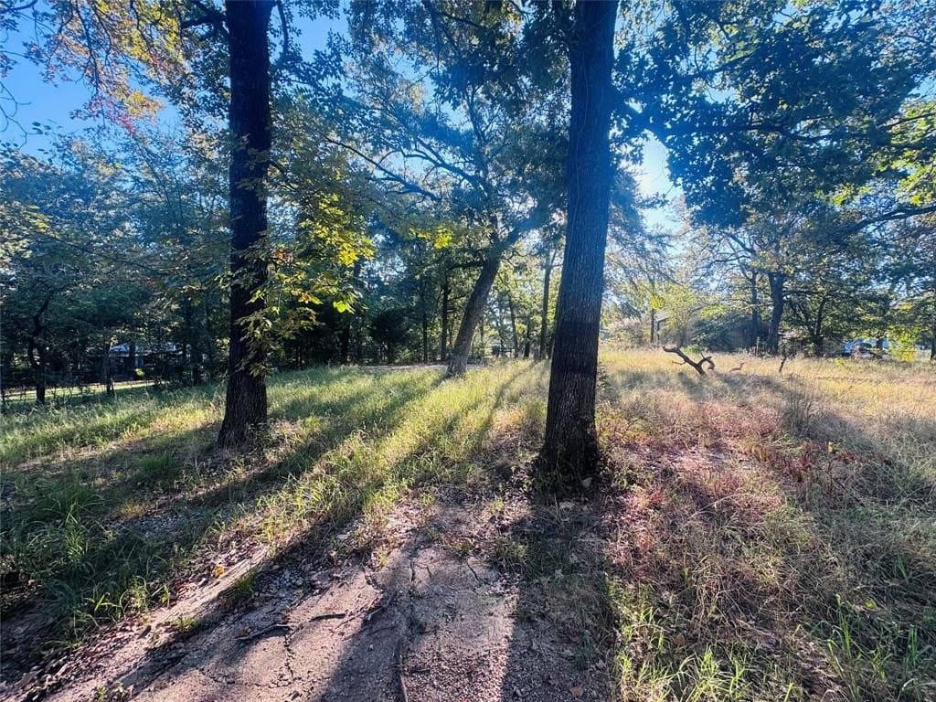 0.46 acres in Henderson County - photo 6