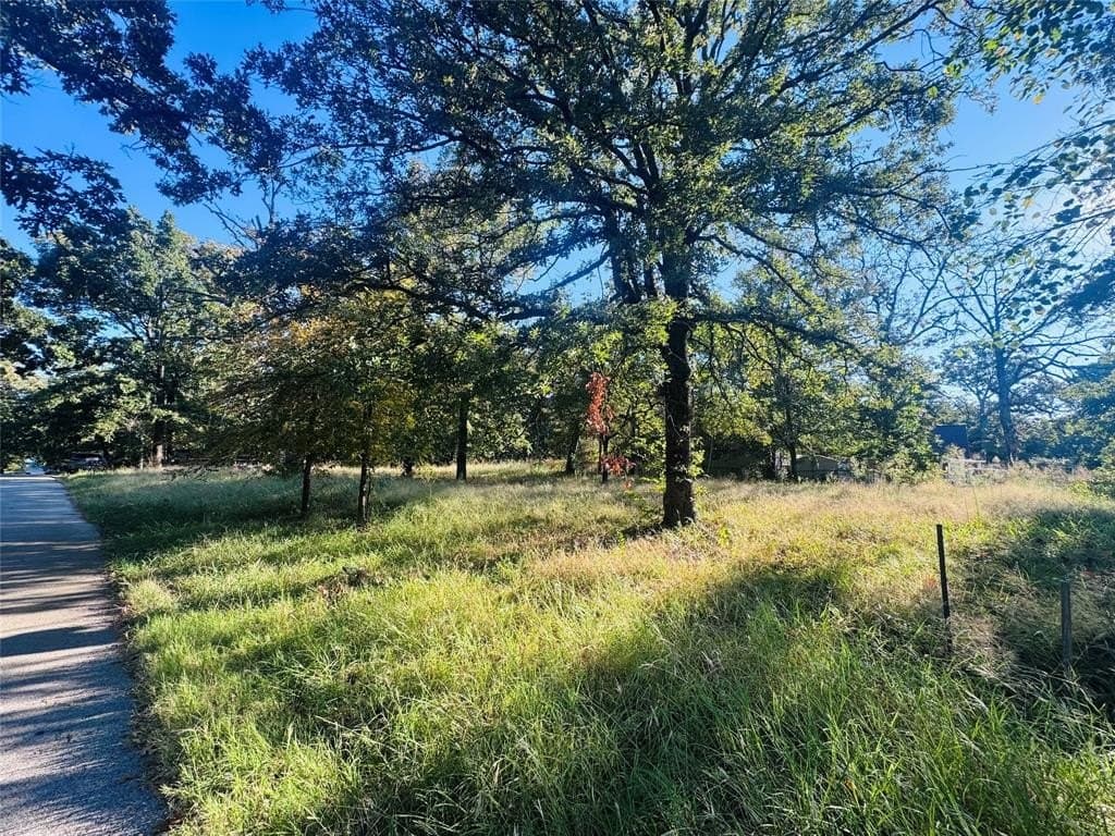 0.46 acres in Henderson County - photo 2