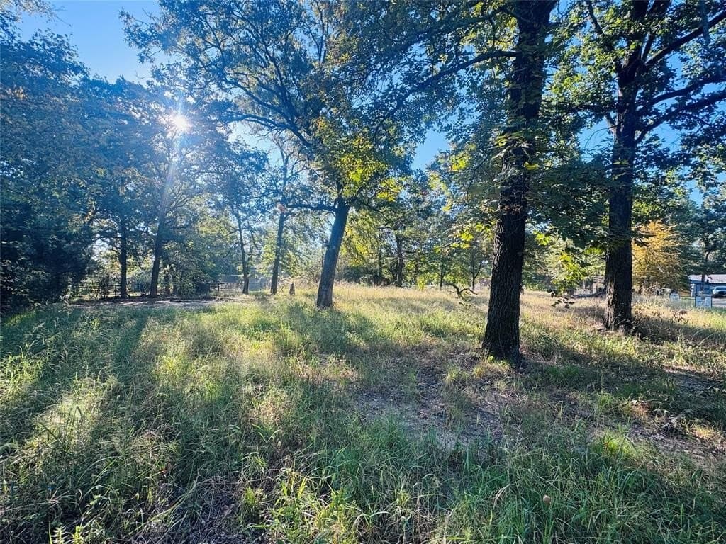 0.46 acres in Henderson County - photo 7