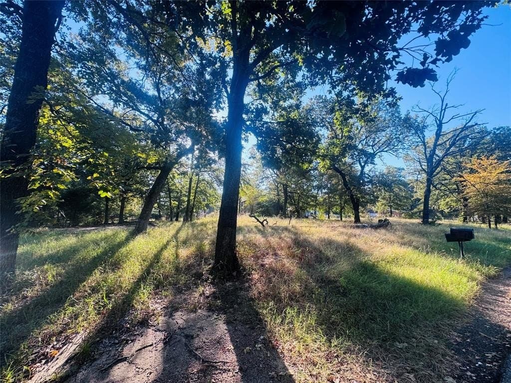 0.46 acres in Henderson County - photo 5
