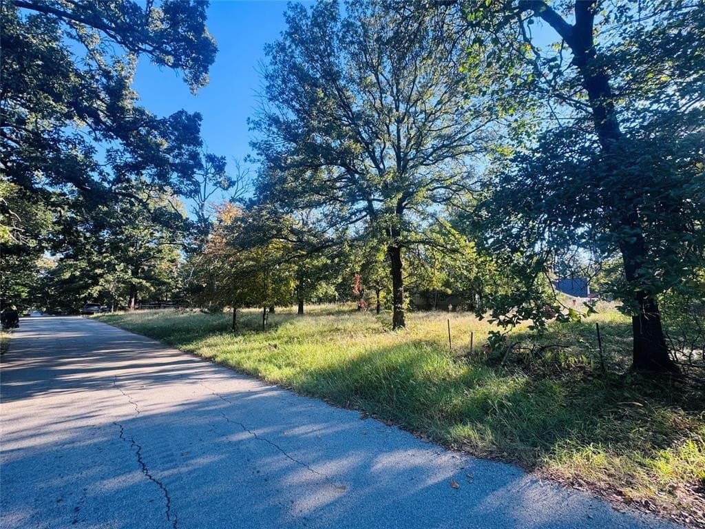 0.46 acres in Henderson County - photo 4