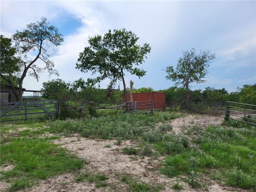 46 acres in Limestone County - photo 5