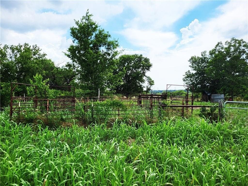 46 acres in Limestone County - photo 12