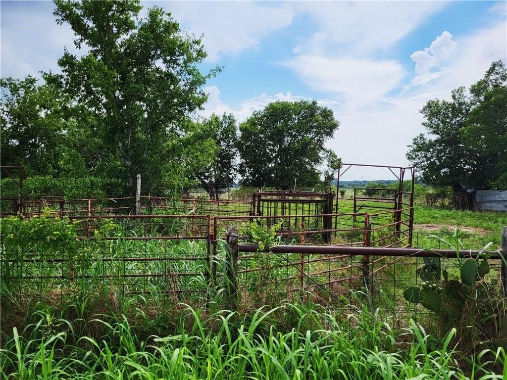 46 acres in Limestone County - photo 13