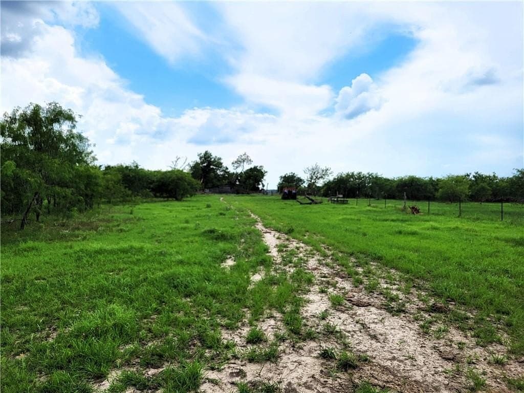 46 acres in Limestone County - photo 2