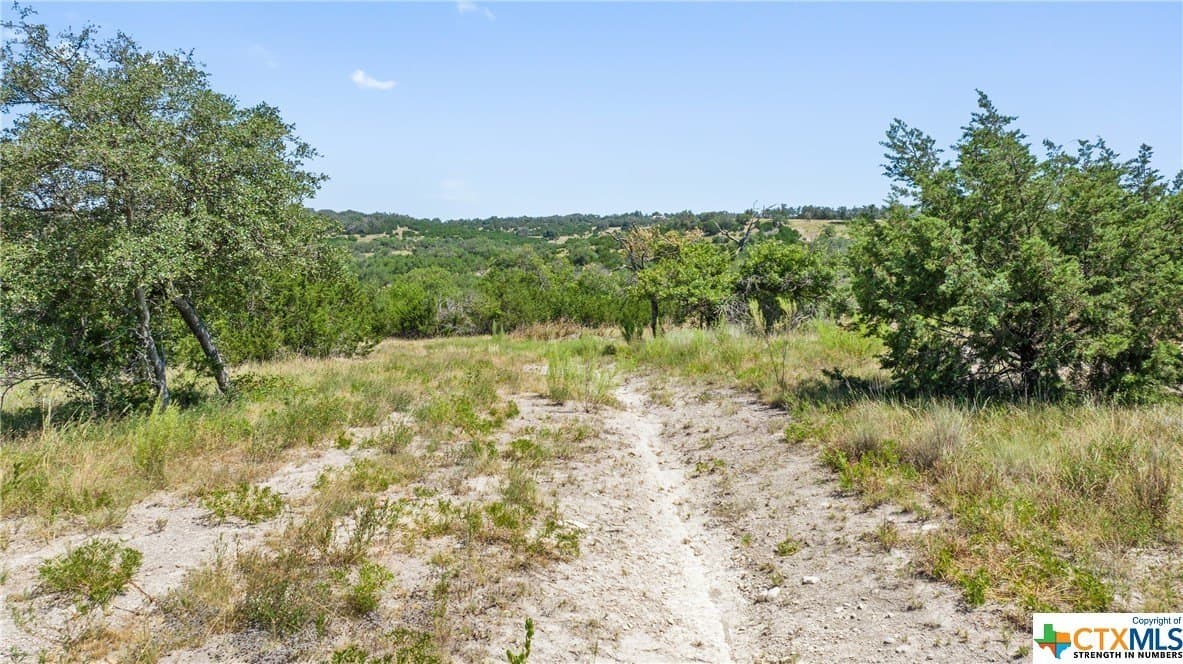 11.1 acres in Blanco County - photo 6